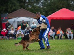 Главная 2025