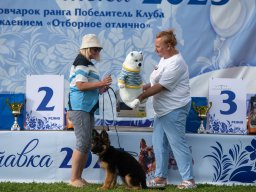 Главная 2025