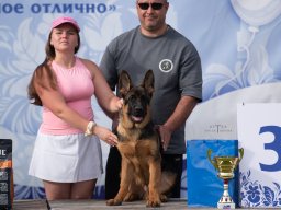 Главная 2025