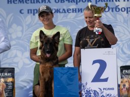 Главная 2025