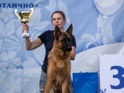Главная 2025