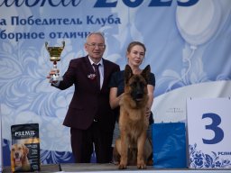 Главная 2025