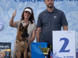 Главная 2025