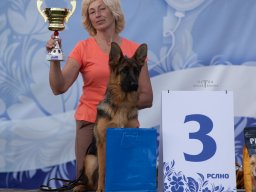 Главная 2025