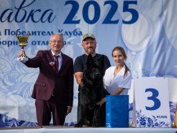Главная 2025