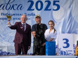 Главная 2025
