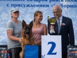 Главная 2025