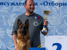 Главная 2025