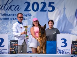 Главная 2025
