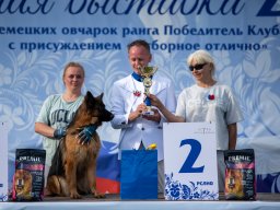 Главная 2025