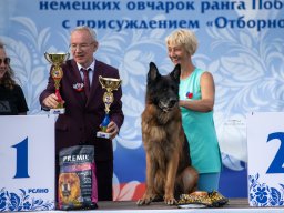 Главная 2025