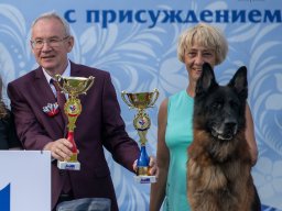 Главная 2025