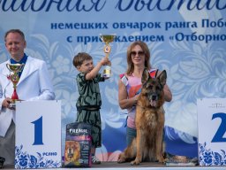 Главная 2025