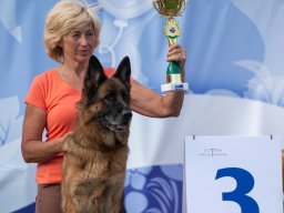 Главная 2025