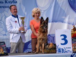 Главная 2025