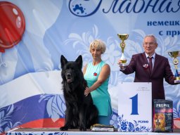 Главная 2025