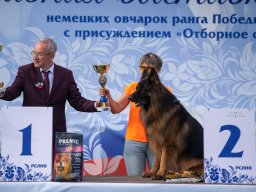 Главная 2025