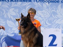 Главная 2025