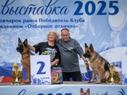Главная 2025