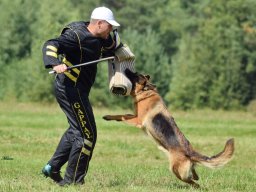 Главная 2017 (фото М.Бабченко) 