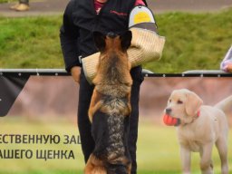 Главная 2018 (фото М.Бабченко)
