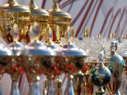 Главная выставка немецких овчарок