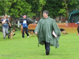 Главная выставка немецких овчарок