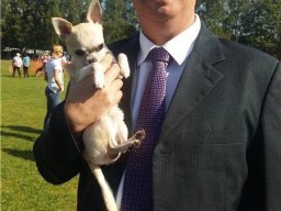 Главная выставка немецких овчарок