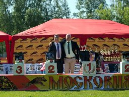 Главная выставка немецких овчарок