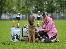 Главная выставка немецких овчарок