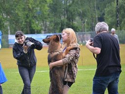 Главная выставка немецких овчарок