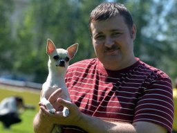 Главная выставка немецких овчарок