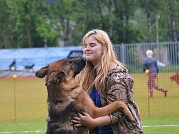 Главная выставка немецких овчарок