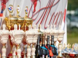 Главная выставка немецких овчарок