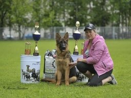 Главная выставка немецких овчарок