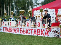 Главная выставка немецких овчарок