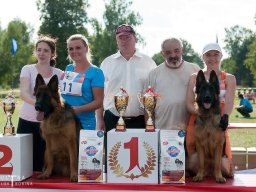 Главная выставка немецких овчарок