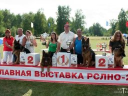Главная выставка немецких овчарок