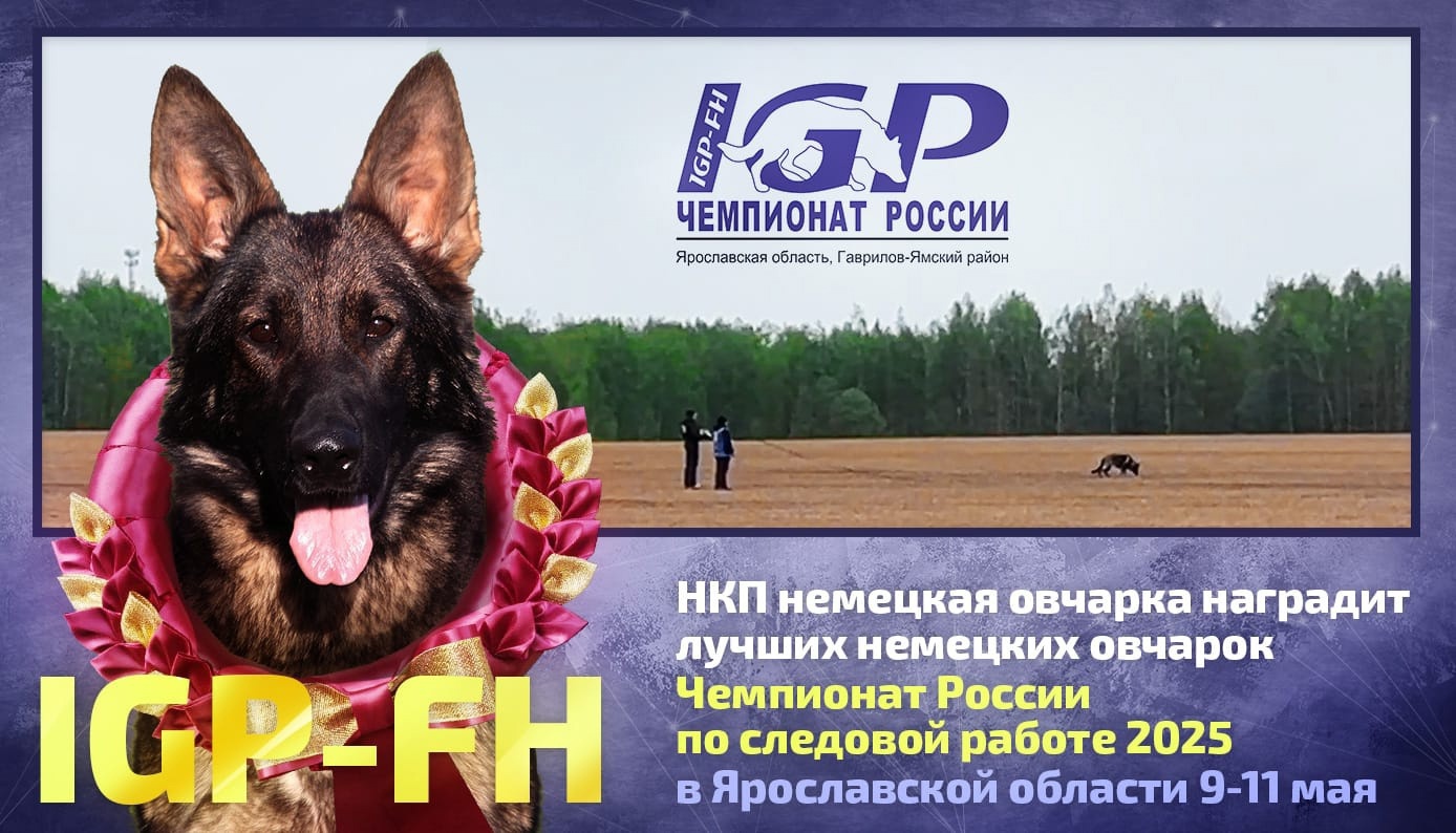 Чемпионат России по следовой работе IGP-FH 2025