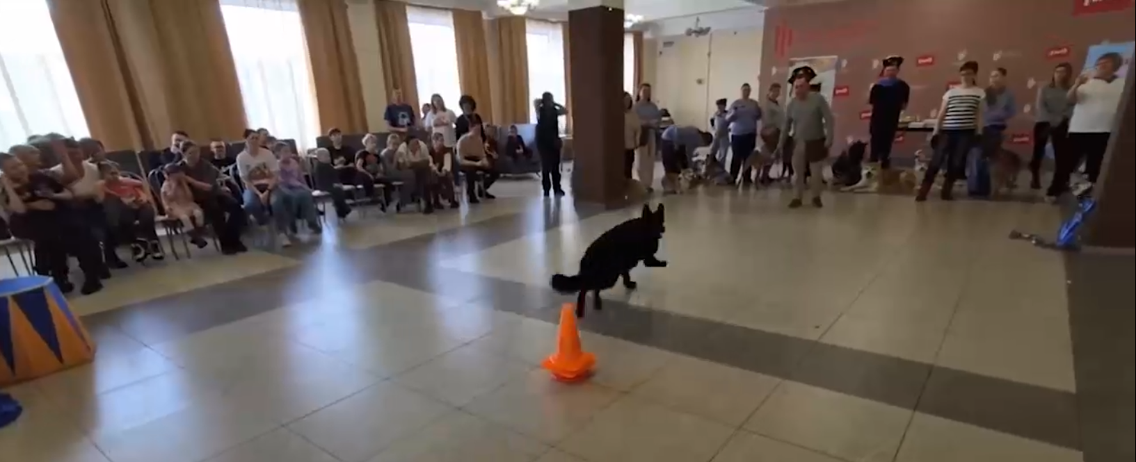 Волонтеры Сахалина