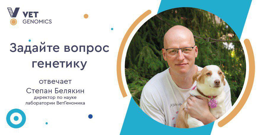 Получить консультацию генетика «ВетГеномика»