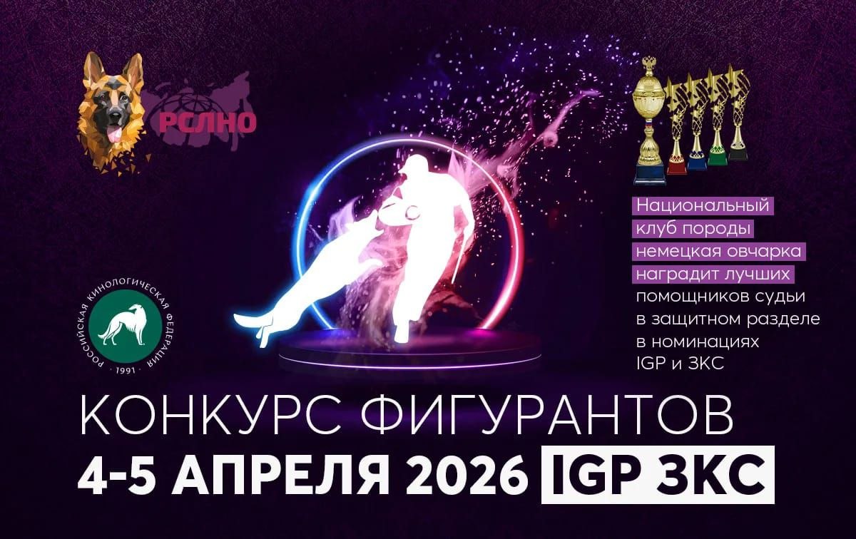 НКП РСЛНО наградит лучших помощников судьи в защитном разделе
