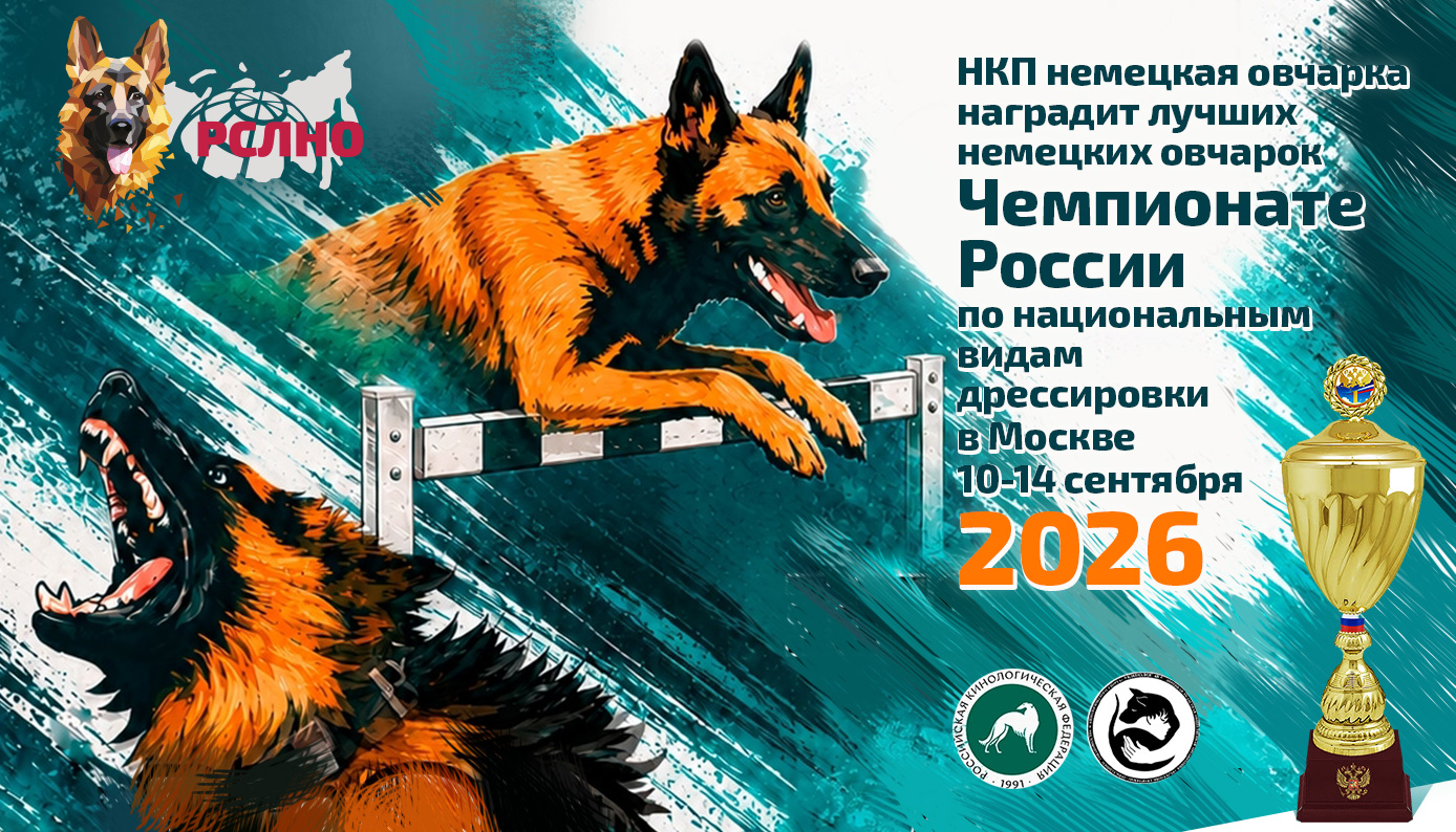 НКП РСЛНО наградил лучших немецких овчарок на Чемпионате России 2026 по национальным видам дрессировки
