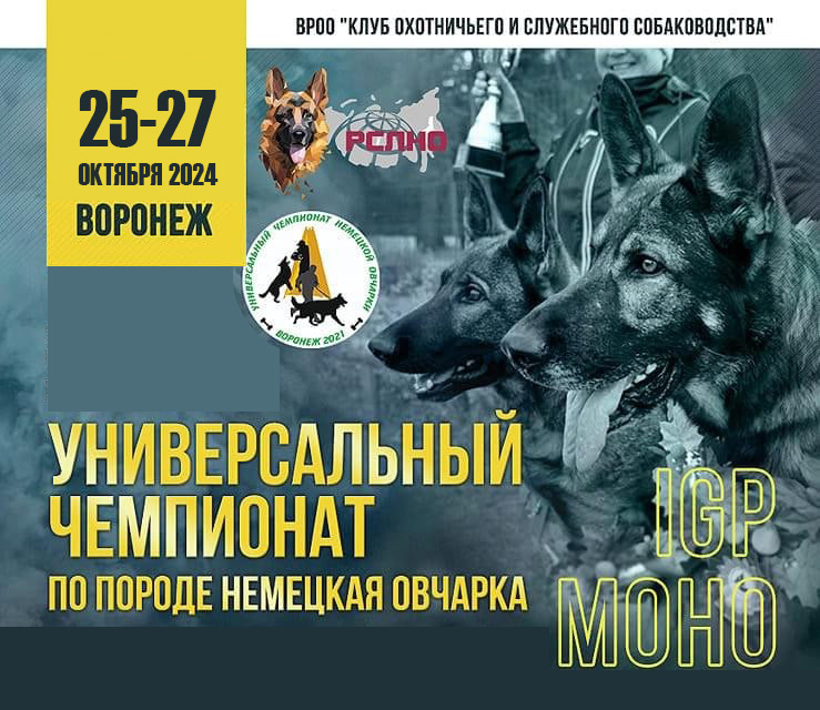Универсальный Чемпионат по породе немецкая овчарка 2024