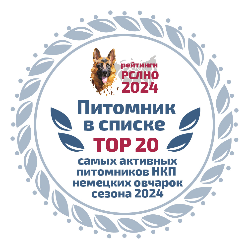 Питомники, выведшие больше всего собак на выставки в 2024 году